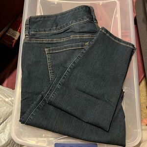 Torrid Denim first at fit Jeggings